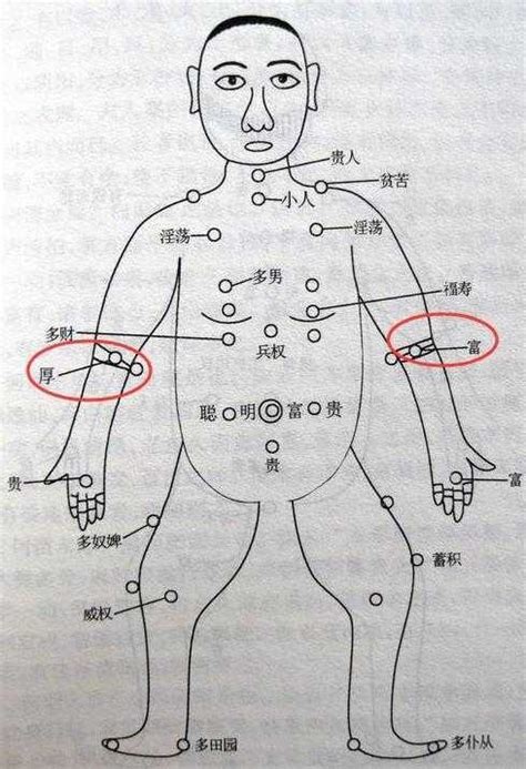 下手臂有痣|痣的位置透露出這些訊息！上手臂有痣不乏追求者、手。